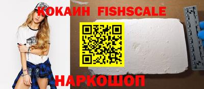 шишки Тара