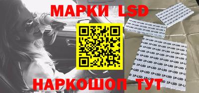шишки Тара