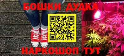 шишки Тара