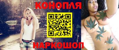 шишки Тара