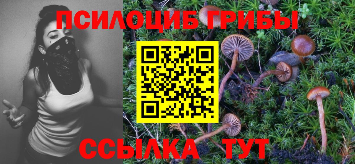 Псилоцибиновые грибы мухоморы Курган