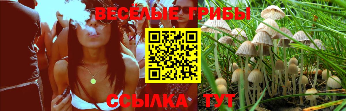 Псилоцибиновые грибы прущие грибы  Вход с VPN  Курган  даркнет сайт  Галлюциногенные грибы мухоморы 