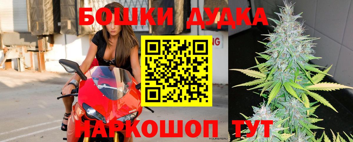 Каннабис сатива Курган